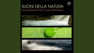 Musica Rilassante con i suoni della natura Piano New Age con i suoni della natura per [upl. by Falkner143]