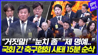 정몽규·홍명보 VS 국회의원 8시간 대혈투 이것만 보시면 됩니다15분 순삭 [upl. by Pampuch]