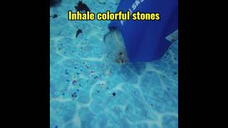 Inhale Colorful Stones ｜Handheld Pool Vacuums Pool Sky poolcleaning pool cleaning poolsky [upl. by Llirrehs]