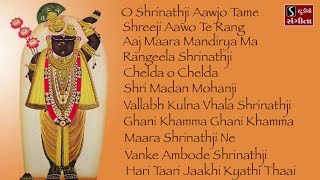 Shrinathji Satsang  11 Beautiful Songs  Hari Taari Zaakhi [upl. by Aiekat790]