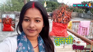 Tulshi Vivah Vlog🌱🪔  तुलसी और शालिग्राम जी की विवाह का Full day vlog [upl. by Ondrea]