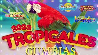 🔆CUMBIAS VIEJITAS TROPICALES✨LAS MEJORES CUMBIAS MIX TROPICAL FLORIDALOS KARKISACAPULCO TROPICAL… [upl. by Hanej]