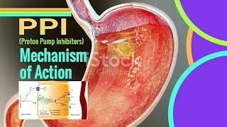 PPI Mechanism of Action  Proton pump inhibitors mechanism of action [upl. by Oicnecserc]