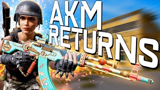 RETURN OF THE AKM  PUBG [upl. by Feerahs]