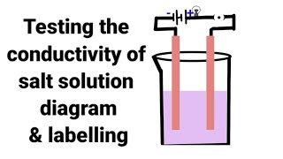 Testing the conductivity of salt solution [upl. by Nayrbo]