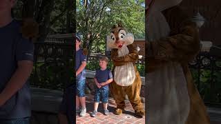 Meeting Chip N Dale The Rescue Rangers in the Magic Kingdom at Disney World disneyworld [upl. by Joni]