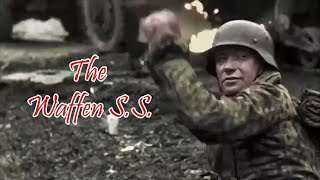 The Waffen SS Intense Combat Footage [upl. by Dam974]