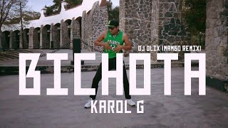 BICHOTA MAMBO REMIX KAROL G  DJ OLIX  EVAN CUERVO DANCE FIT  ZUMBA COREOGRAPHY [upl. by Nehr]