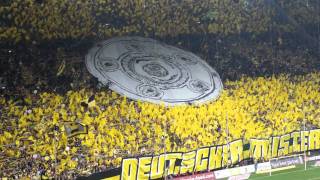 BVB Dortmund Gänsehaut im Westfalenstadion [upl. by Ahsik591]