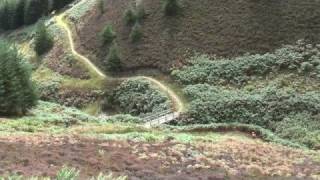 Glentress Black Route Mountain Biking [upl. by Nahtaneoj]