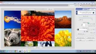 شرح مبسط لبرنامج Picasa 3 [upl. by Retxab]