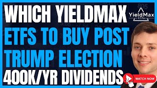 Which Yieldmax Stocks Im Buying Post Trump Election High Yield Dividends Elon TSLA FIRE [upl. by Ahsinal419]