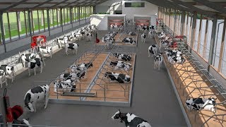 About Lely  Lely bright farming solutions  EN [upl. by Rawdon555]