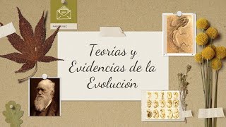 UNIDAD 9 1 Evolución Teorías y evidencias de la evolución  Grupo 4 [upl. by Iolande369]