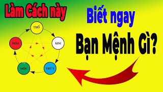 Hướng dẫn cách TỰ XEM MỆNH CỦA BẠN THÂN đơn giản mà Chính Xác Nhất  Lê Lực Tử Vi [upl. by Aeslek]