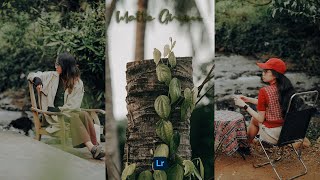 Matte Green Presets  Lightroom Mobile Preset Free DNG amp XMP  Moody Green Presets Free Download [upl. by Inatsed]