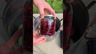 How to make and boil Cherry compote using Inverter and LiFePO4 Battery [upl. by Horwitz]