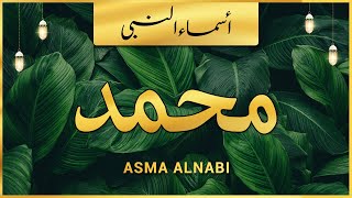 Asma ul Nabi  Names of Prophet Muhammad SAW  اسماء النبی ﷺ [upl. by Hershell]