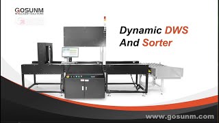 How do dws machines and sorting lines work [upl. by Eenyaj]