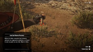 Red Dead Redemption 2 Daily Challenge Good Spot For Redfin Pickerel [upl. by Linden]