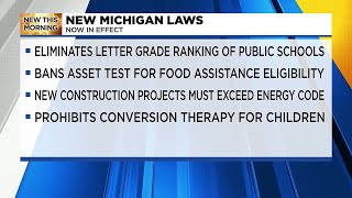 New Michigan laws now in effect [upl. by Adnorat]