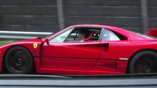 Ferrari F40 Acceleration Tunnel  Rev HD [upl. by Amlus776]