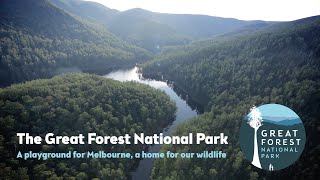 The Great Forest National Park  A Vision for Victoria [upl. by Chadburn803]