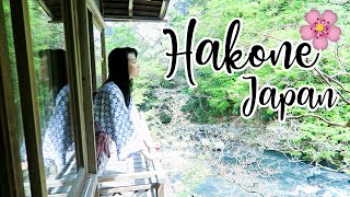 100 YEAR OLD ONSEN HOTEL  HAKONE Hot Spring Shopping and Owakudani Thermal Valley [upl. by Chappell]