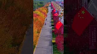 The streets of Ordos are picturesque AutumnInOrdos Kangbashi NorthernWings [upl. by Arinayed]