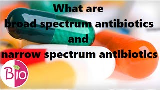 What are broad and narrow spectrum antibiotics by Simply The Best BIO [upl. by Addy]