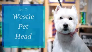 How to Do a Westie Pet Head  with Master Groomer [upl. by Moser]