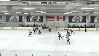 Little Flyers EHL vs Philadelphia Hockey Club EHL on 1192024 [upl. by Solotsopa]