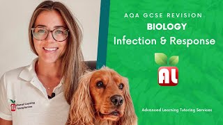 AQA GCSE Biology  Infection amp Response Revision [upl. by Nonnahs]