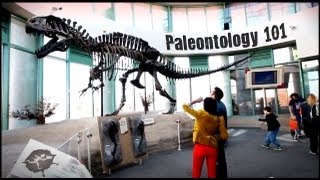 Paleontology 101  Untamed Science [upl. by Eat]