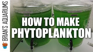 How to make Phytoplankton [upl. by Ahtnahc]