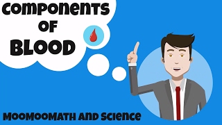 Components of Blood and their function [upl. by Bonina298]