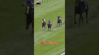 Horse Life risky life 🐎horespower horseracing horsejockey shortsvideo mashroolzack6745 [upl. by Towland708]