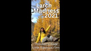 Larch Madness 2021 South PocaterraLittle Highwood Pass Hike [upl. by Otiragram817]