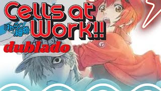 cells at work dublado pt br ep 1 [upl. by Nnylamme]