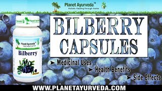 Bilberry Capsules Medicinal Uses Health Benefits and Side effects [upl. by Alphonsa931]