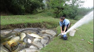 Full Video Fishing Techniques How to Fishing in The Wild Harvesting Many Big Fish  Girl Fishing [upl. by Seda]