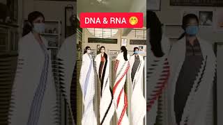 DNA ও RNA এর গঠন😅 biology dna rna hsc admission admission shortvideo youtubeshorts youtube [upl. by Ylrebmit]