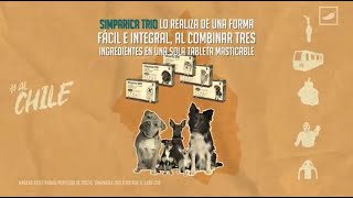 LA IMPORTANCIA DE DESPARASITAR A TU PERRO  SIMPARICA TRIO [upl. by Anabal]