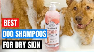 5 Best Dog Shampoos for Dry Skin [upl. by Flieger]