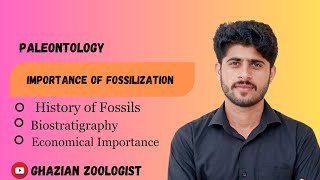 Importance of FossilizationBiostratigraphy  Rock beds Paleontology [upl. by Nnyled521]