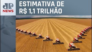 Ministério da Agricultura reduz valor bruto da produção agropecuária [upl. by Aihsila]