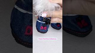 Zapatos Para Perros Pequeños 🩷 perros bichonmaltes [upl. by Lisabeth]