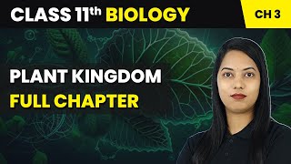 Plant Kingdom  Full Chapter  Class 11 Biology Chapter 3 [upl. by Nwadal]