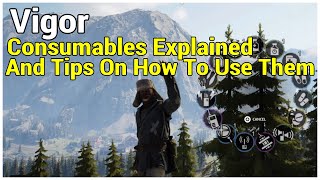 Consumables Explained and Tips On How To Us Them  Vigor [upl. by Ky]