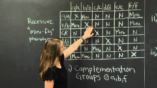 Complementation Part II  MIT 701SC Fundamentals of Biology [upl. by Octavie]